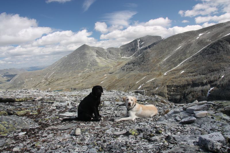 Norsko Rondane